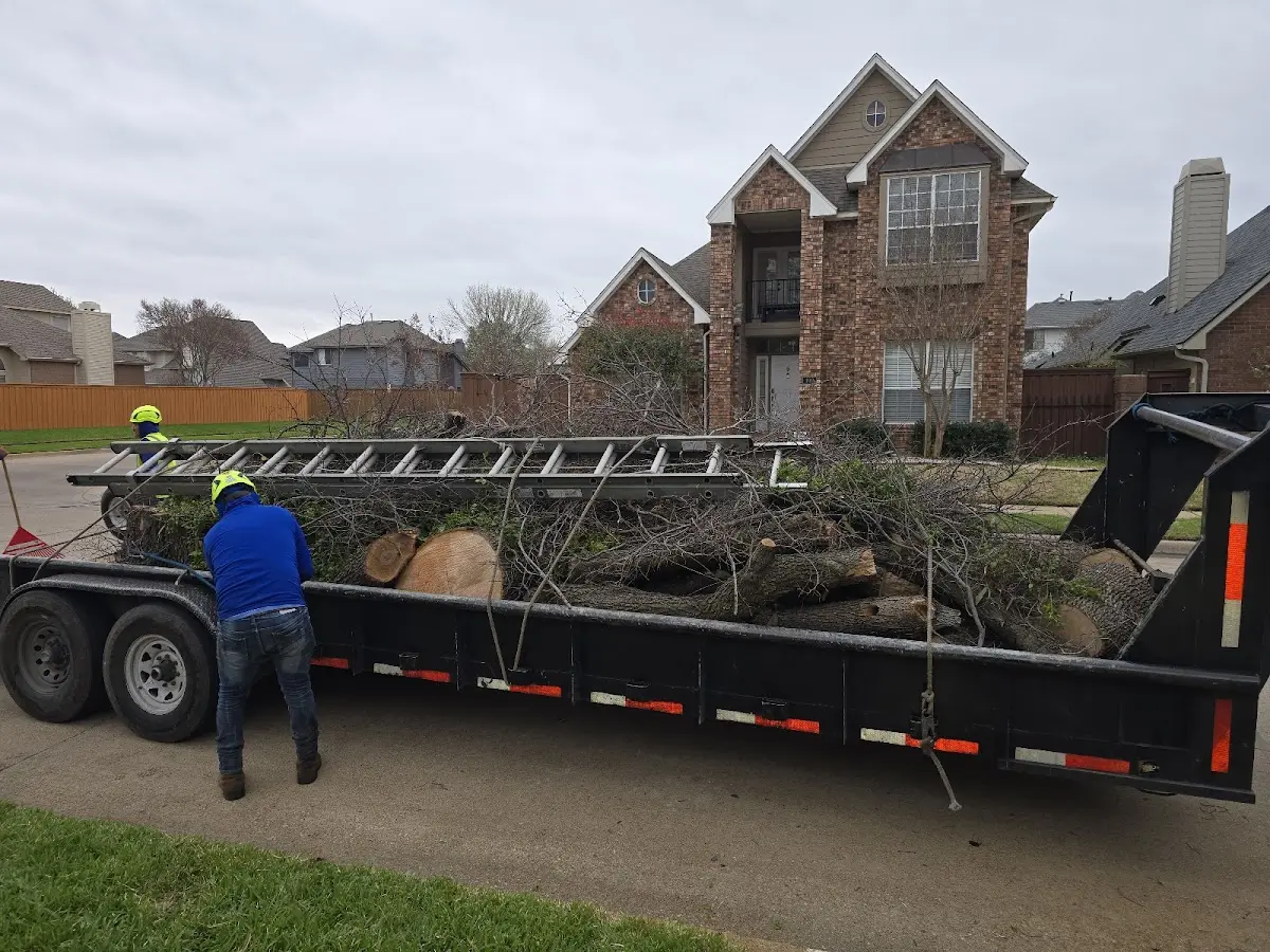Expert Tree Fertilization with proper safety equipment in Maria Stein